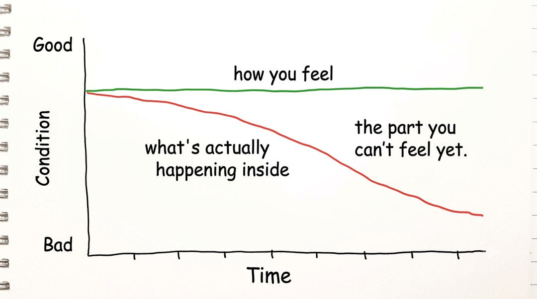 A hand-drawn graph: how you feel stays flat while what is happening inside quietly declines